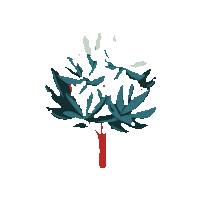 senja_tinyhouse nature arbre senja feuillage Sticker