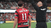 wswanderersfc football celebration goal wanderers GIF