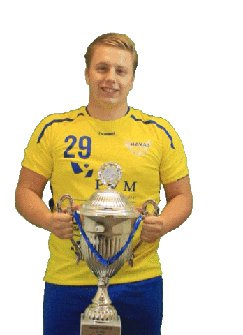 Mitchlamboo Sticker by HV Havas