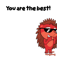 U R Hedgehog GIF by VeeFriends