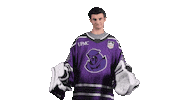Goalie Save Sticker by Youngstown Phantoms
