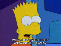 bart simpson snowball ii GIF
