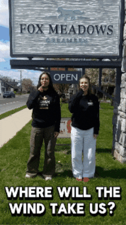 giphy image