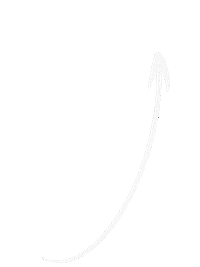 Personizer arrow whitearrow pointhere personizer Sticker