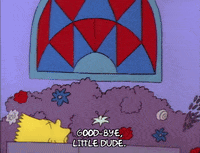 Season 1 GIF by The Simpsons