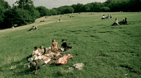 Film Field GIF