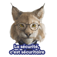 newlook-ca sunglasses glasses eyewear lynx Sticker