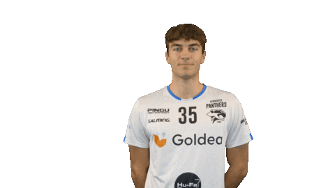 Florbal Sticker by Panthers Otrokovice