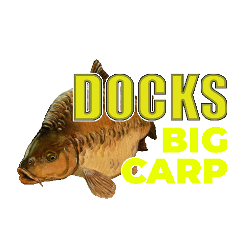 SensationalAnglingSupplies giphyupload tackle carp docks Sticker