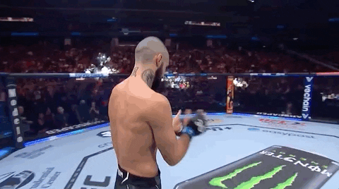 Sport GIF by UFC