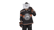 Hockey Bembelhockey Sticker by Löwen Frankfurt