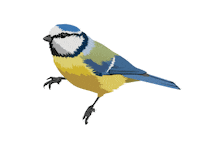 Bird Sticker by RSPB