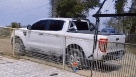 cuteanimalland giphyupload GIF