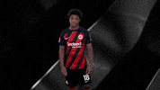 Swipe Up GIF by Eintracht Frankfurt