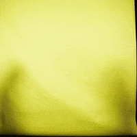 OregonDuckAthletics oregon ducks soccer oregon soocer livvy moore caitlyn mcculloch GIF