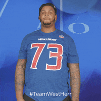 Buffalo Bills GIF by West Herr