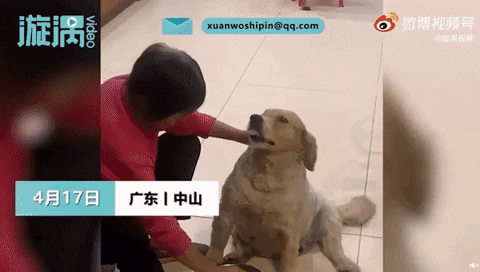 yj_jane giphygifmaker GIF