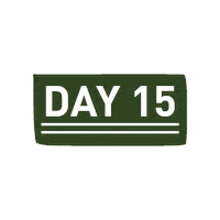 Christmas Countdown Advent Calendar Sticker by Essential Worship