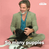 So many puppies