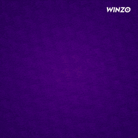 Ms Dhoni Cricket GIF by WinZO Games