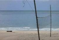 thailand GIF