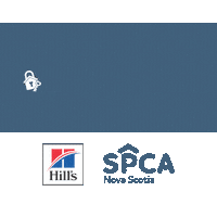 Adopt Me Best Friends Sticker by Nova Scotia SPCA