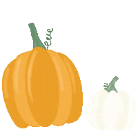 carleeecarroll fall autumn pumpkin pumpkins Sticker