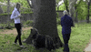 dog GIF by The Ed Bassmaster Show