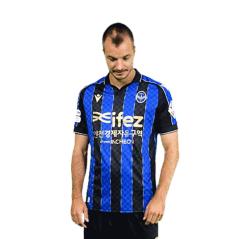 Football Soccer Sticker by Incheon United FC