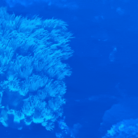 Easter Dinosaur GIF by TeaCosyFolk