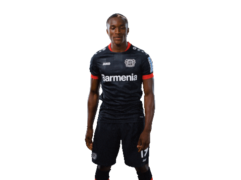 Oh No Facepalm Sticker by Bayer 04 Leverkusen