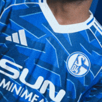 Football Soccer GIF by FC Schalke 04