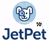 Jetpetresort  GIF