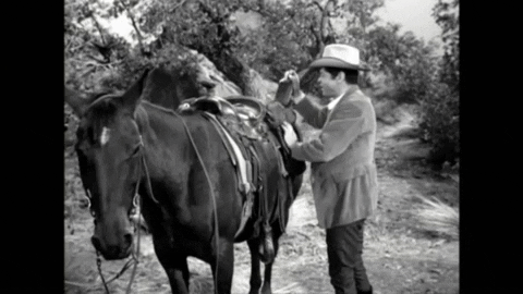 The Wild Wild West GIF