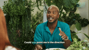 House Party Avocados GIF