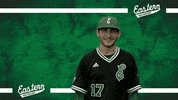 Emueagles Emubaseball GIF by EMU Athletics