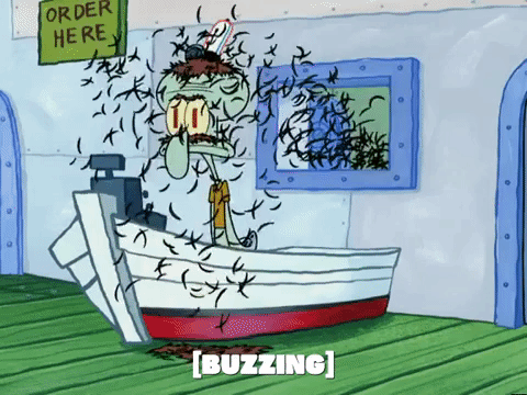 season 5 new digs GIF by SpongeBob SquarePants
