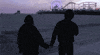 ferris wheel love GIF