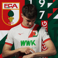 Football Bundesliga GIF by FC Augsburg 1907
