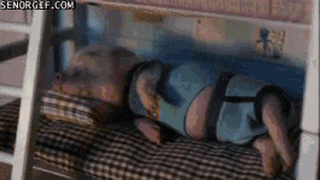 perfect world squee GIF by Cheezburger