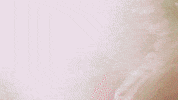 Love And Hip Hop Reality Tv GIF by VH1