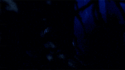 GIF by Wayward Pines
