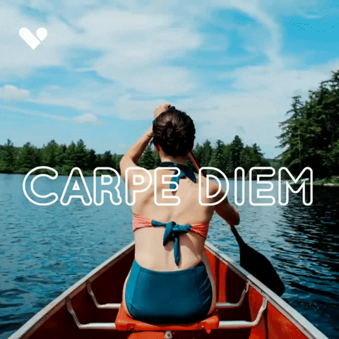 Viajala giphyupload GIF