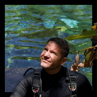 Steve Backshall Mexico GIF by PBS
