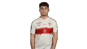 Vfb Stuttgart Applause Sticker by Bundesliga