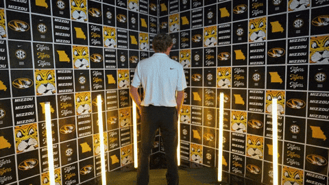Stare Down Missouri Tigers GIF by Mizzou Athletics