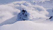 ShreddersGame game snow winter xbox GIF