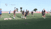 la liga soccer GIF by Sevilla Fútbol Club