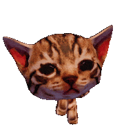Dance Cat Sticker