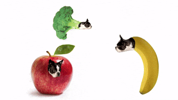 fruit dogs by Joel Fox